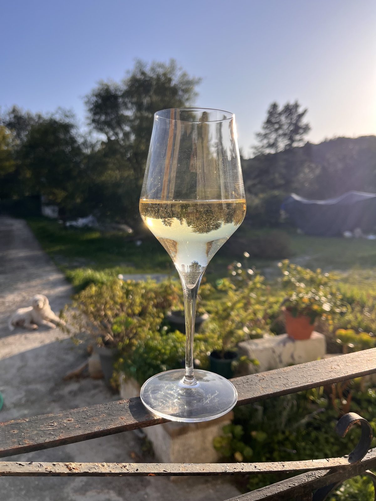 Wein am Abend auf Korfu